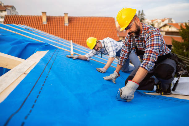 Best Chimney Flashing Repair  in Gibsonburg, OH