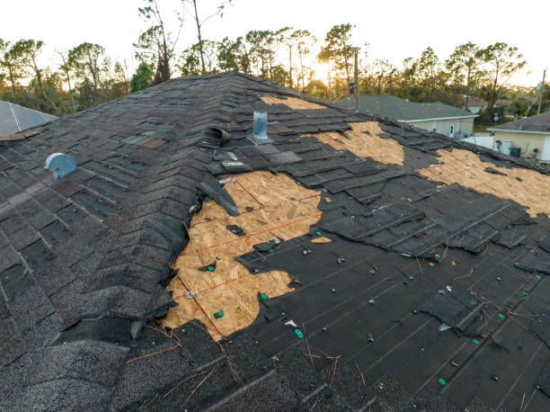 Best Roof Coating Services  in Gibsonburg, OH