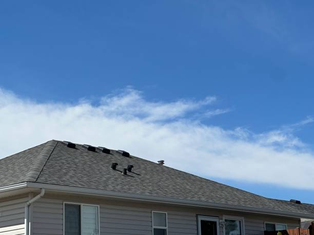Best Metal Roofing Installation  in Gibsonburg, OH
